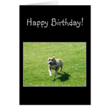 Glückliche Bithday Pitbull Grußkarte