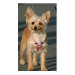 Glückliche Chihuahua-Visitenkarten
