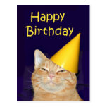 Glückliche Katze alles Gute zum Geburtstag Postkarten
