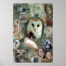Glücklicher Eulenplakatdruck