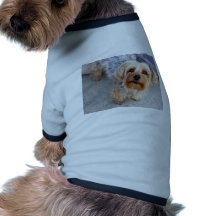 Glücklicher Yorkie Welpe Haustier Tshirts