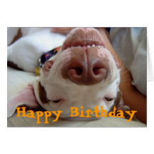 Glückliches alles Gute zum Geburtstag Karte