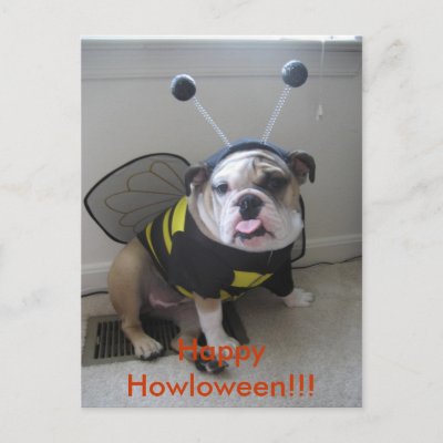 English Bulldog on Gl  Ckliches Halloween  Englische Bulldogge Postkarten Von Zazzle De