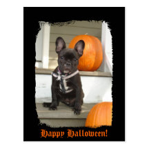 Glückliches Halloween! Postkarten