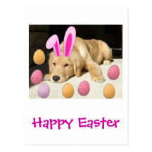 Glückliches Ostern-golden retriever Postkarte