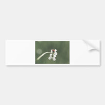 Glücksbringer auf der Blumenwiese Auto Sticker