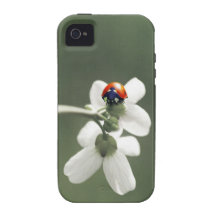Glücksbringer auf der Blumenwiese Vibe iPhone 4 Hülle