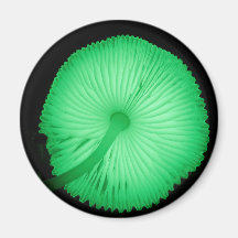 Glühende Pilze Magnete