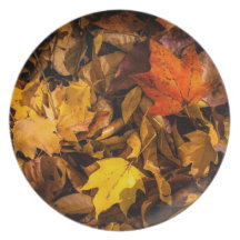 Glühendes Herbst-Blätter Flache Teller