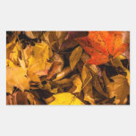 Glühendes Herbst-Blätter Rechteckige Sticker