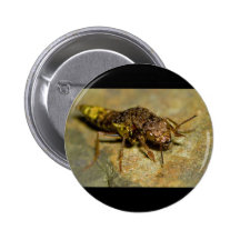 Gold-u. Brown-Strähne-Käfer Button