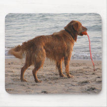 Golden retriever am Spiel Mauspad