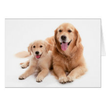 Golden retriever-Freunde Grußkarten