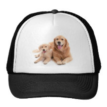 Golden retriever-Freunde Netz Caps
