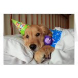 Golden retriever-Geburtstags-Karte