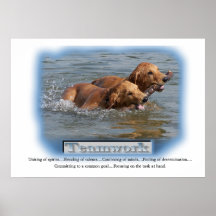 Golden retriever-Geschenke Posterdrucke