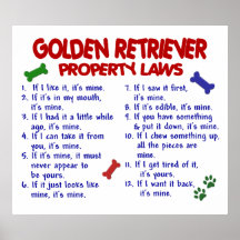 GOLDEN RETRIEVER PL2 PLAKAT