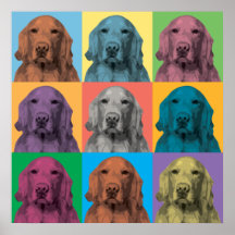 Golden retriever-Pop-Art-Plakat