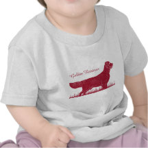 Golden retriever shirt