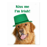 Golden retriever St. Pattys Postkarten