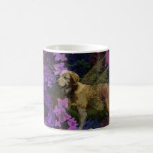 Golden retriever teetasse