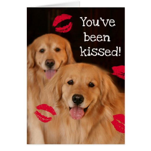 Golden retriever-Valentinstag-Karte