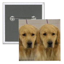 Golden retriever-Zwillingequadratischer Pin Button