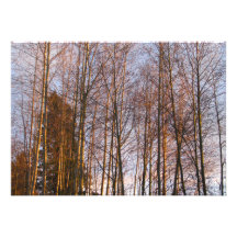 Goldene Birken Ankündigungskarten