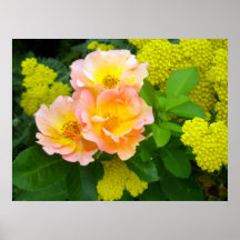 Goldene Garten-Schönheit Plakat