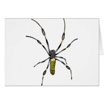 Goldene Kugel-Spinne Grußkarten