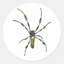 Goldene Kugel-Spinne Runde Sticker