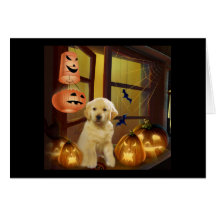 Goldene Retriver Welpen-Halloween-Gruß-Karte
