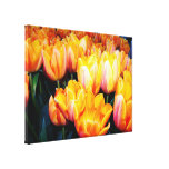 goldene Tulpeblumen Leinwand Druck