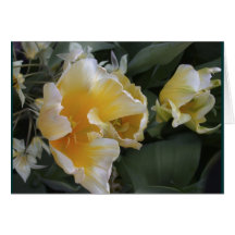 Goldene Tulpen Karte