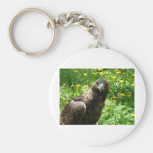 goldener Adler 1 Schlüsselbänder