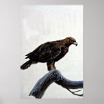 Goldener Adler Posterdrucke