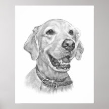 Goldener Retriever-Haustier-Porträt-Zeichnen Posterdruck