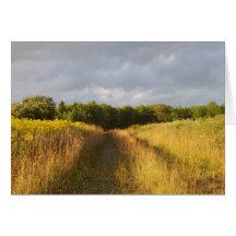 Goldenes Feld Karte