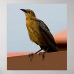Goldenes Vogelplakat