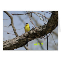 Goldfinch, hell und froh grußkarte