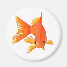 Goldfisch, der an Ihnen kommt Magnete
