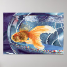 Goldfisch-Druck Poster