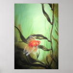 Goldfisch Posterdrucke