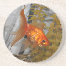 Goldfish-Untersetzer