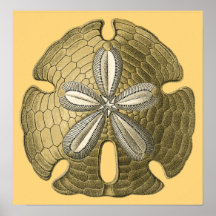Goldsand-Dollar-Plakat-Druck