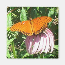 GOLFfritillary-Magnet