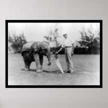 Golfspieler-und Elefant-Transportgestell in Miami, Poster