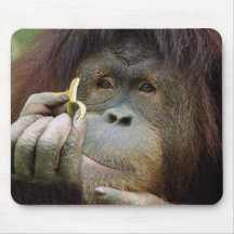 Gorilla Mousepad