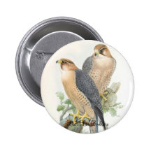 Gould - Roter-Naped Falke-BuchhandlungPromo Buttons