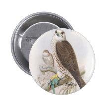 Gould - Saker Falke-BuchhandlungPromo Buttons